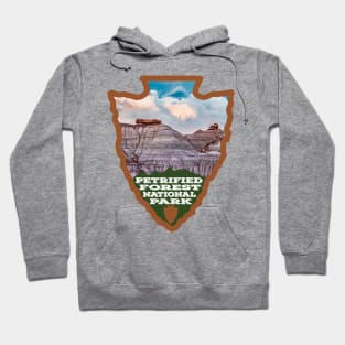 Petrified Forest National Park arrowhead Hoodie